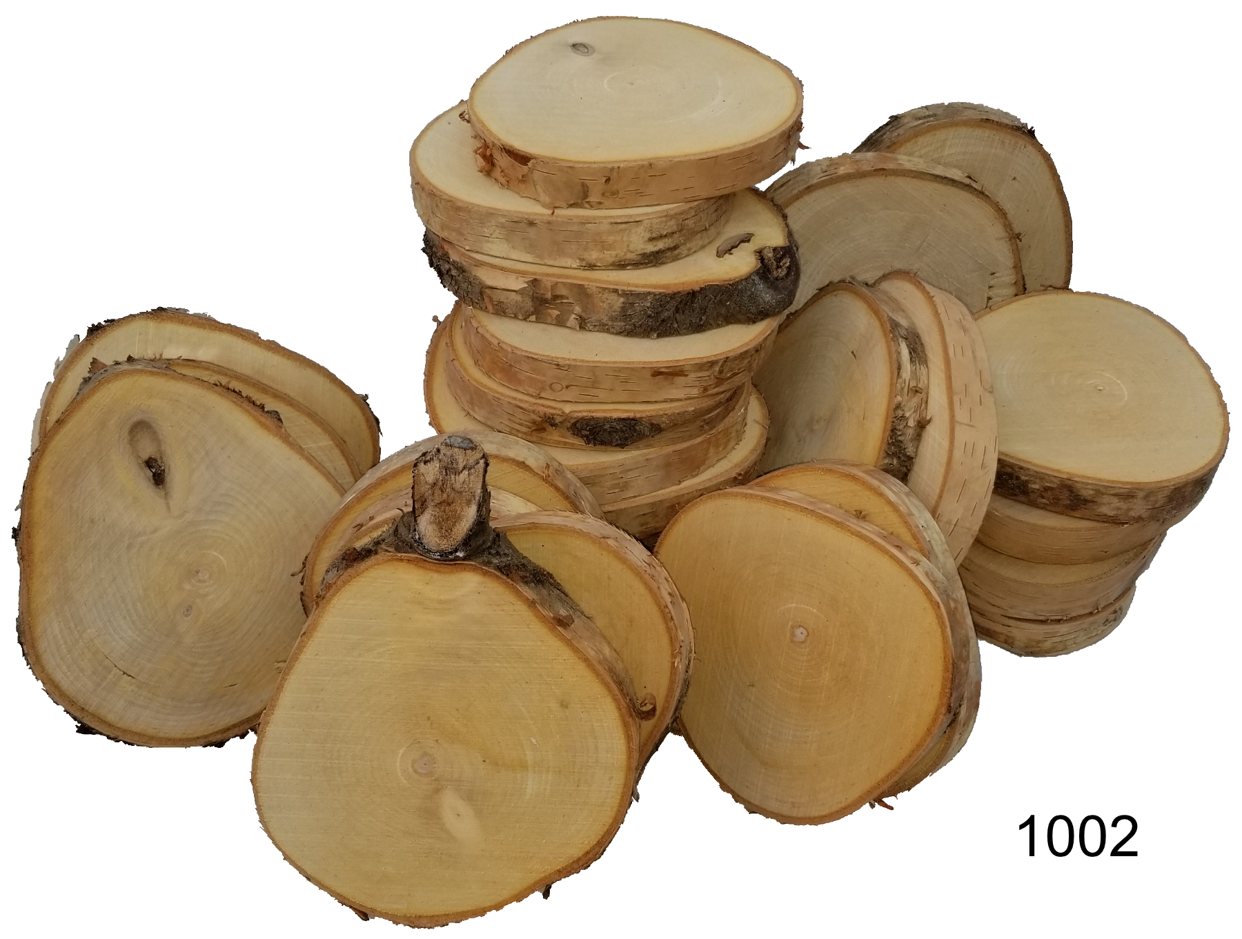 Birch Slices - 5" x 3/4"