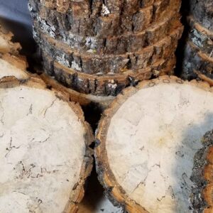 spalted basswood log slices