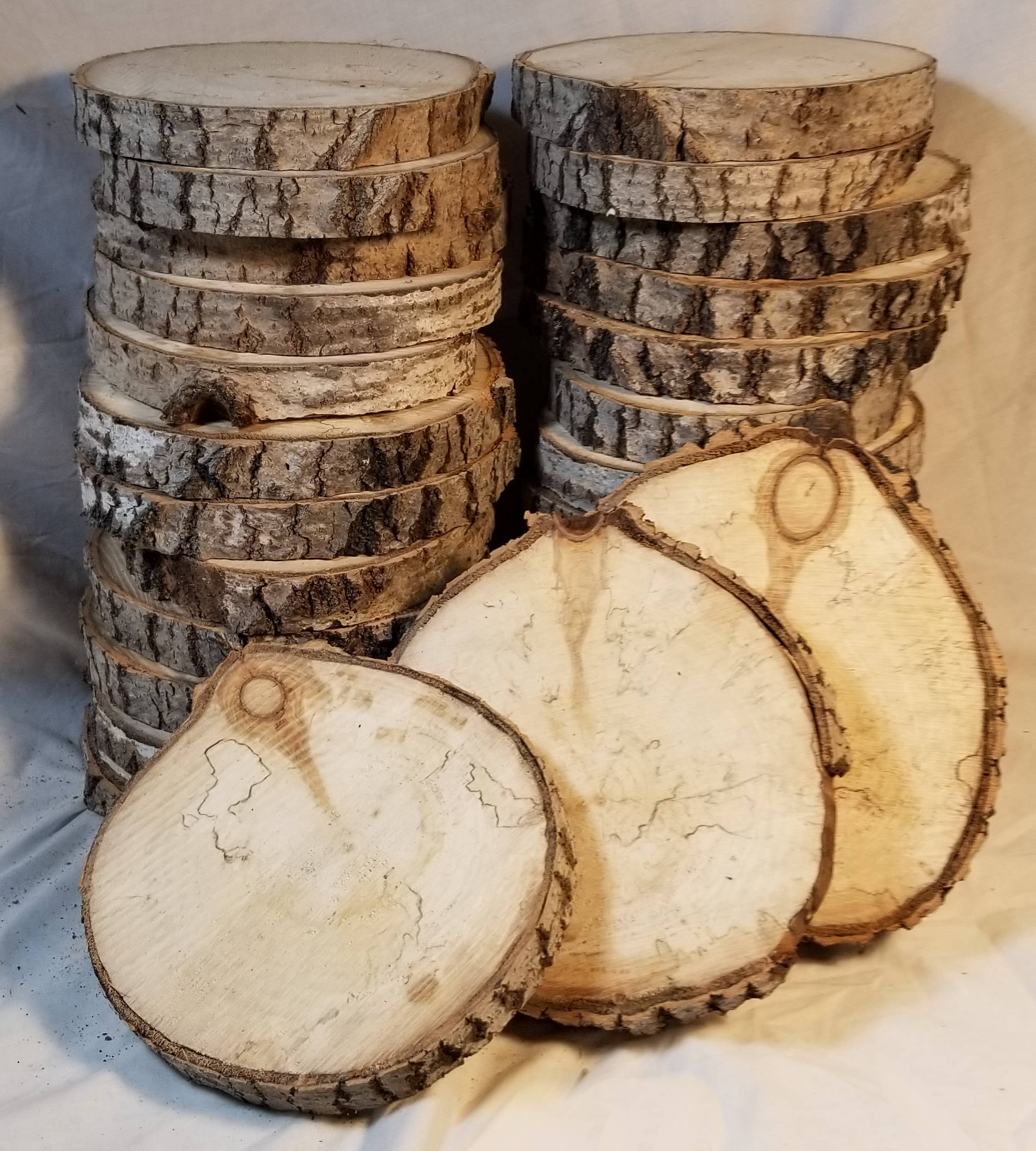 poplar log slices