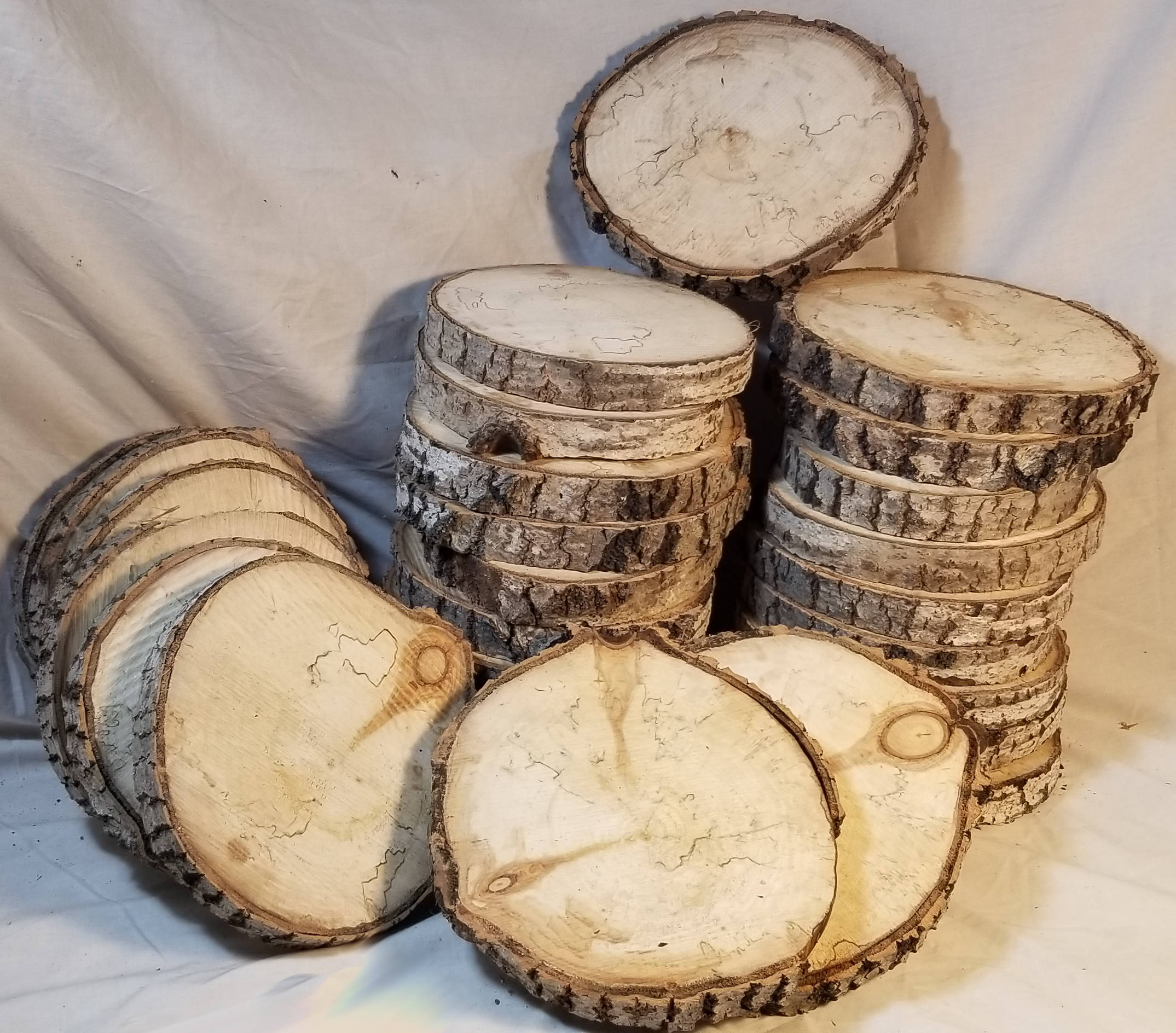 poplar log slices for crafts