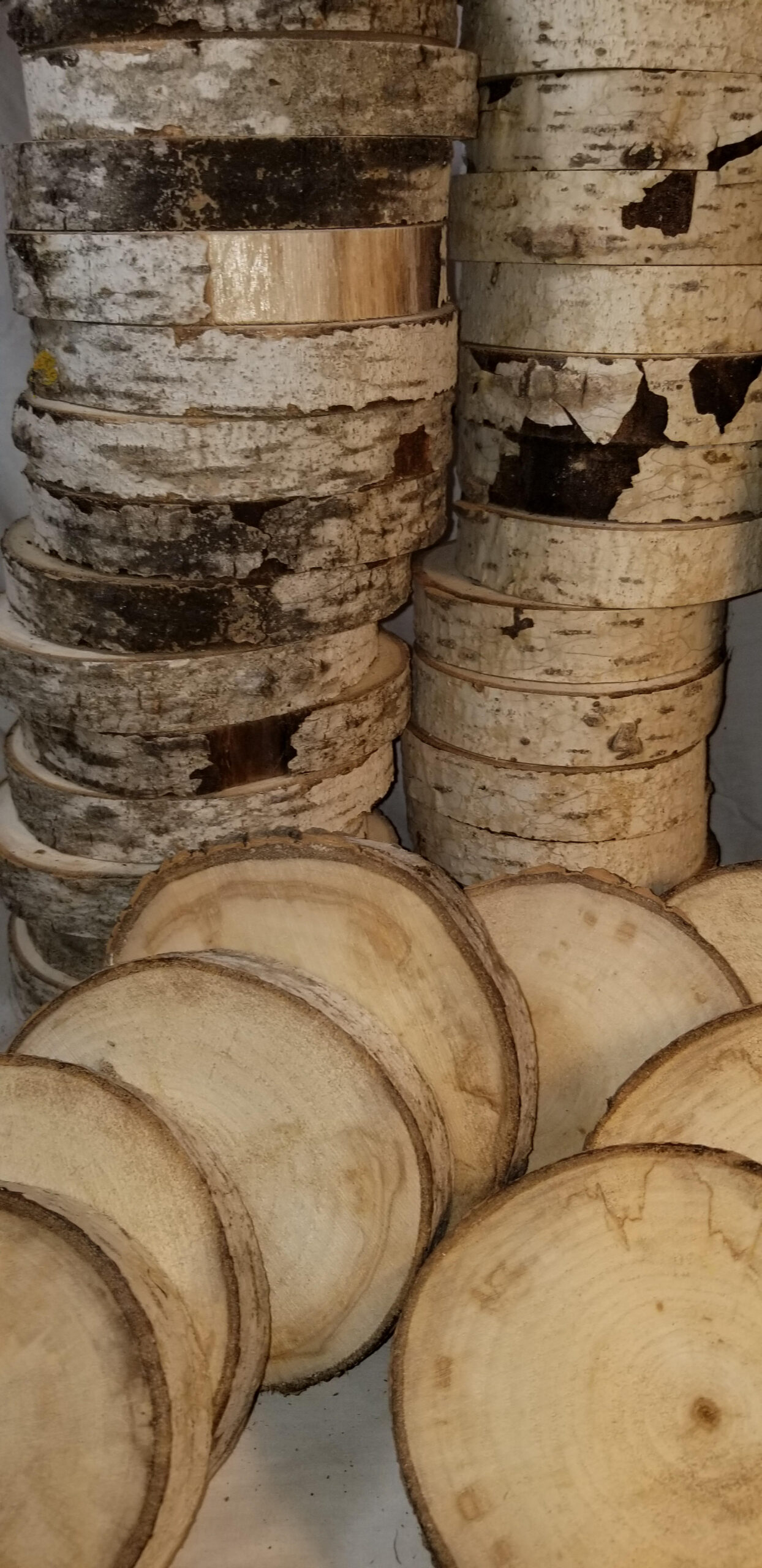 poplar branch slices