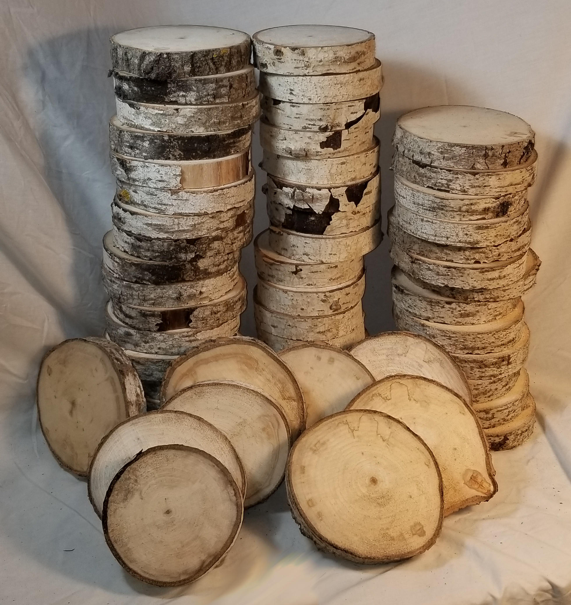 poplar wood slices