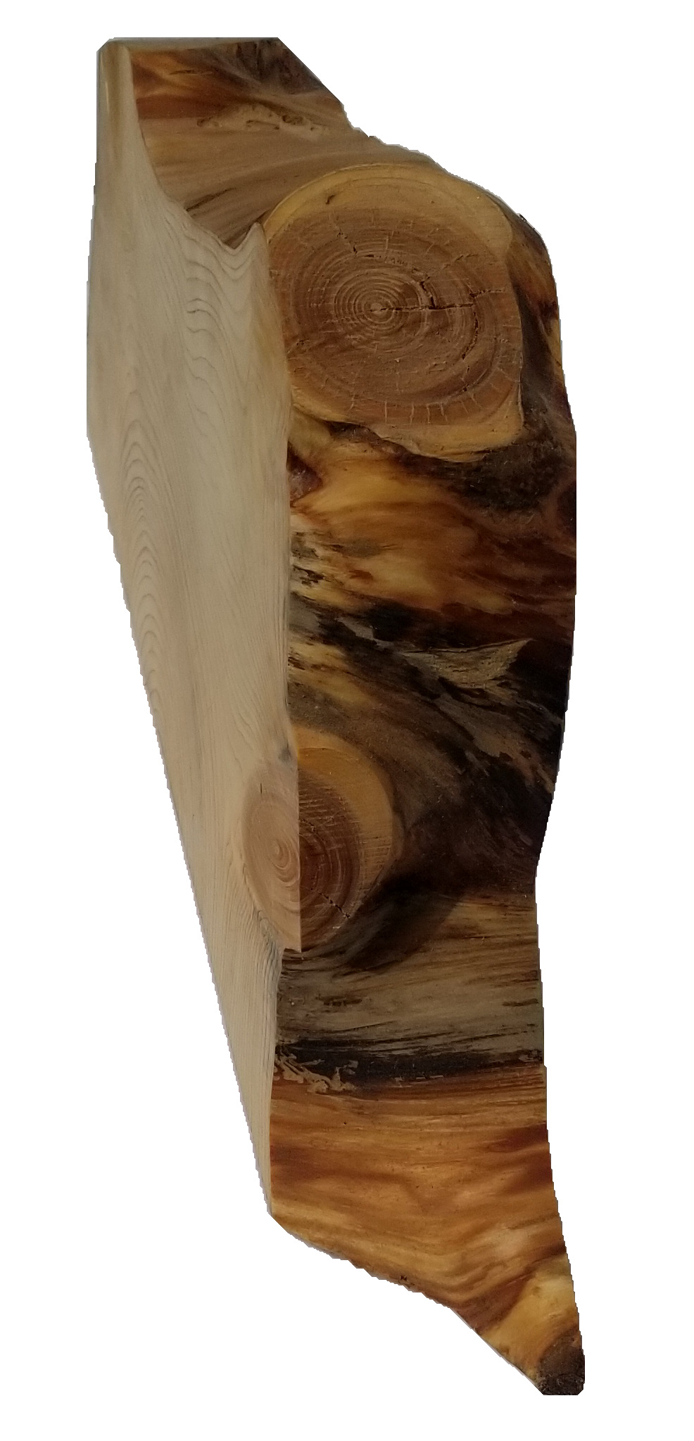side view of half pine log