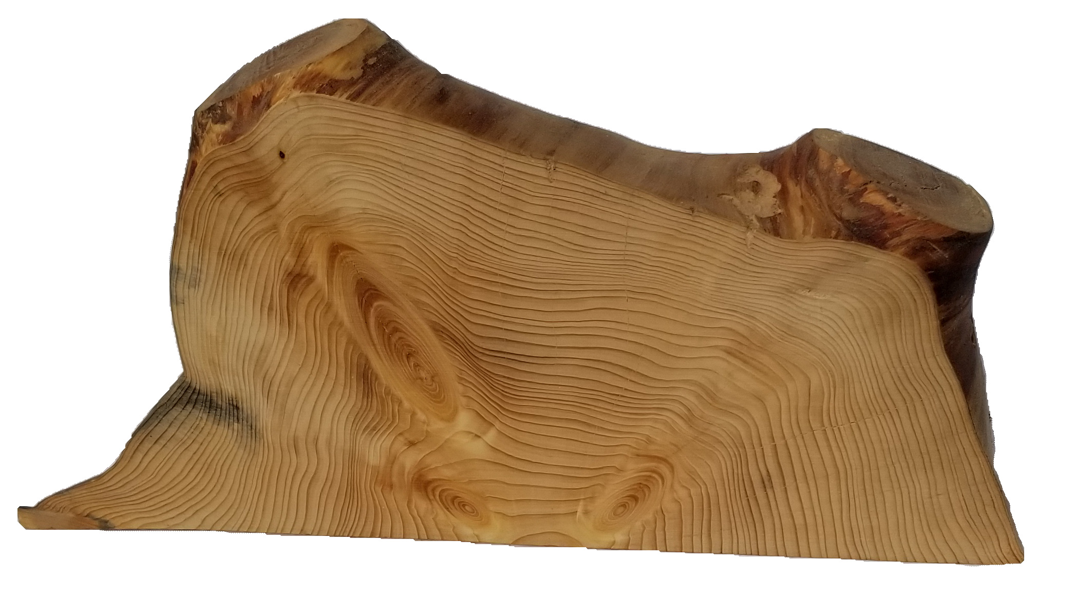 half pine log