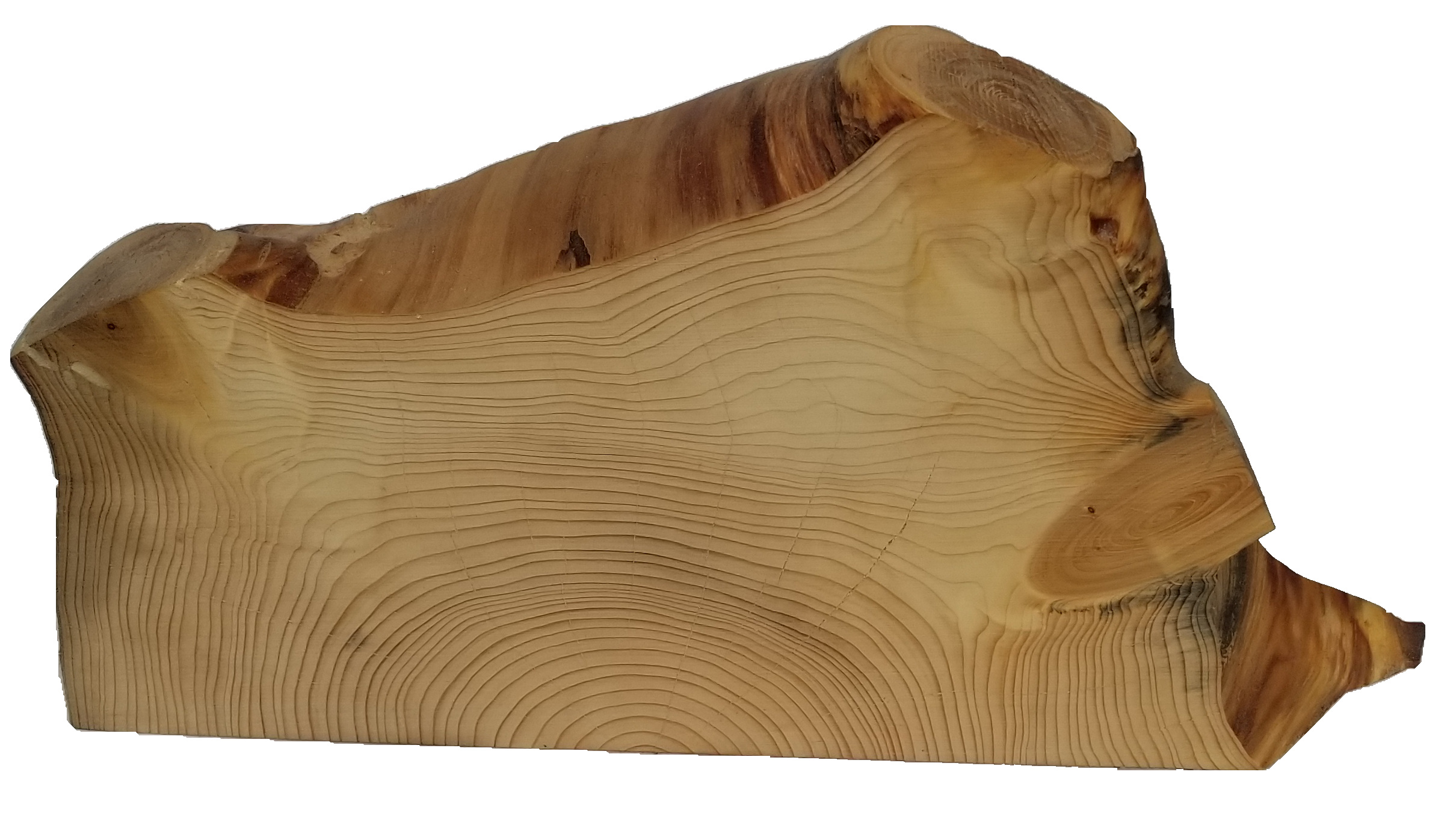 large half pine log