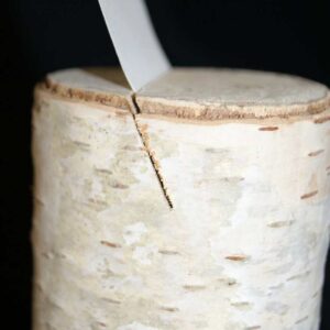slotted birch log card holders for table numbering placement