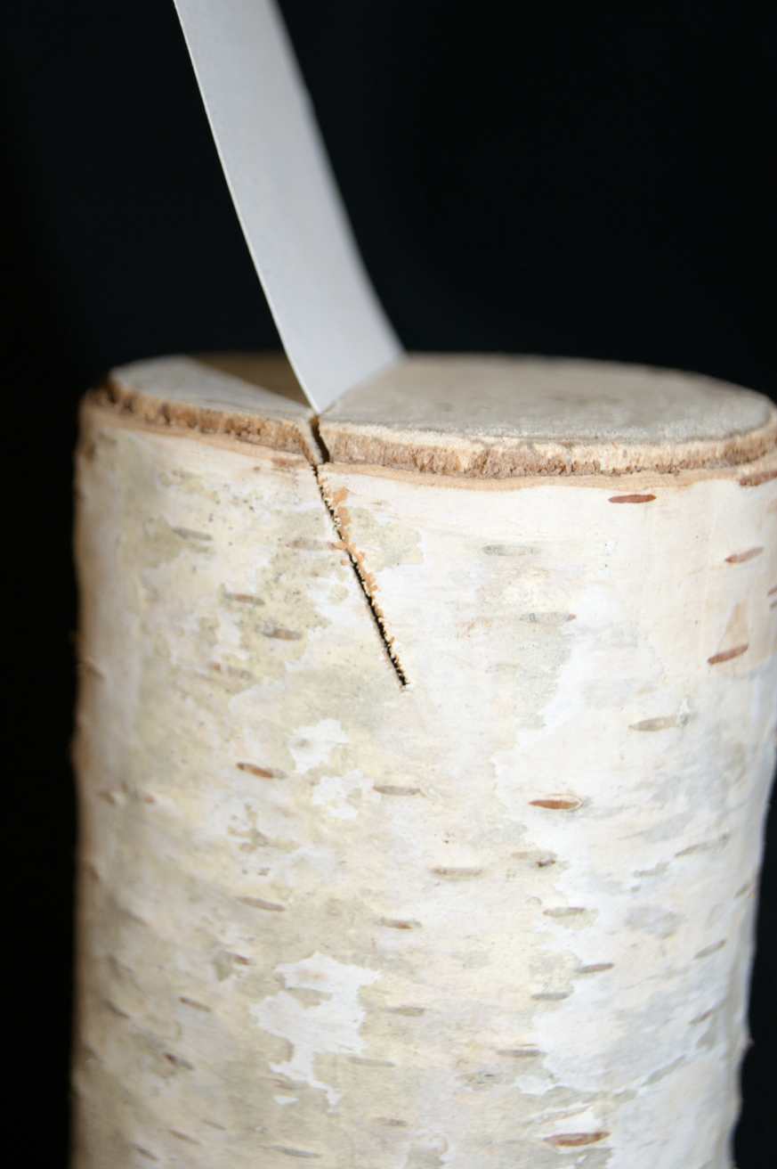 slotted birch log card holders for table numbering placement
