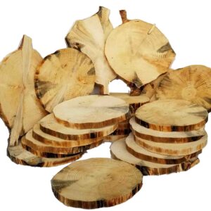 large pine log tree slices