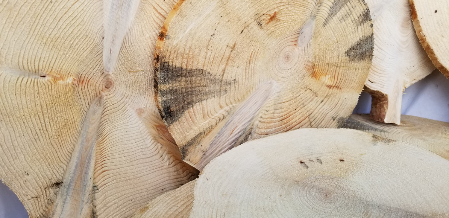 Red Pine - 11"-12" x 7/8" - Image 3
