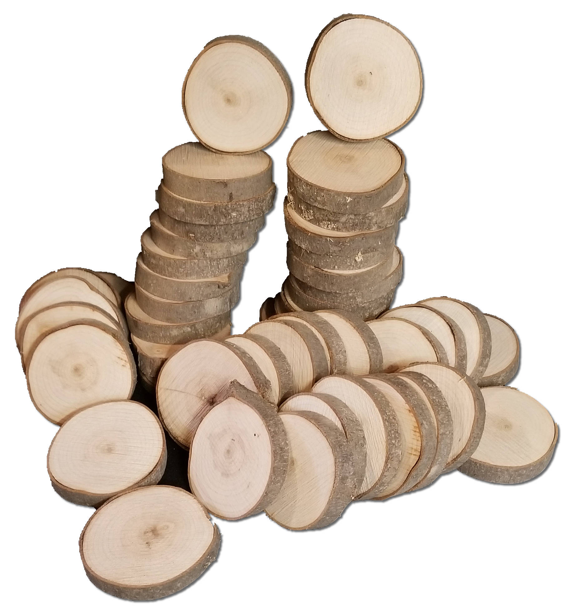 hardwood maple tree cookies slices