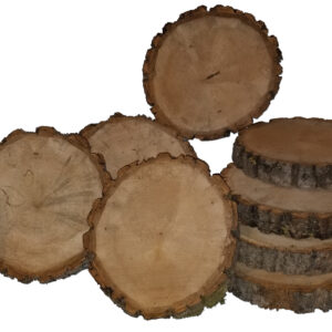 basswood log slices