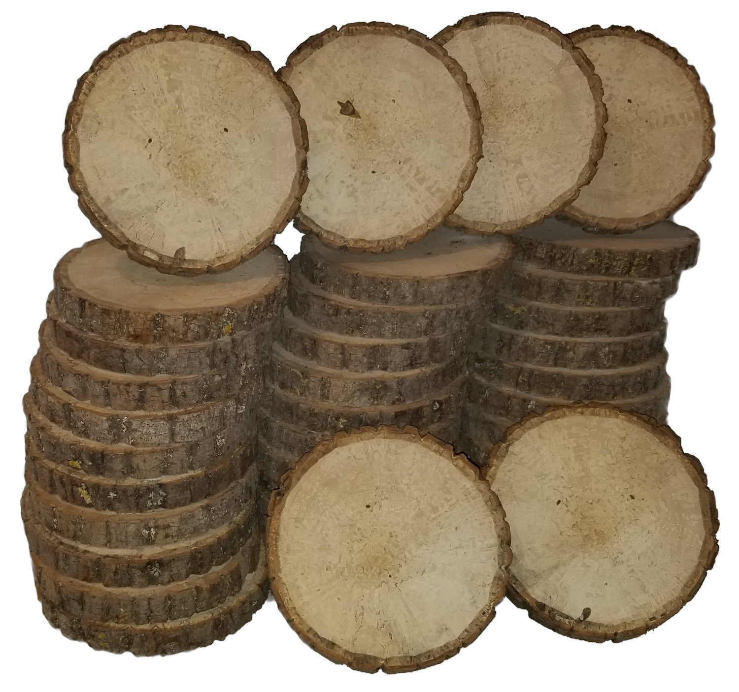 Basswood log slices with spalt