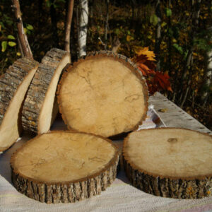 Large Slices - Over 9"