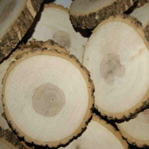 Medium Slices - 4" to 9"