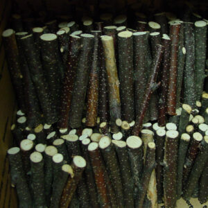 Sticks
