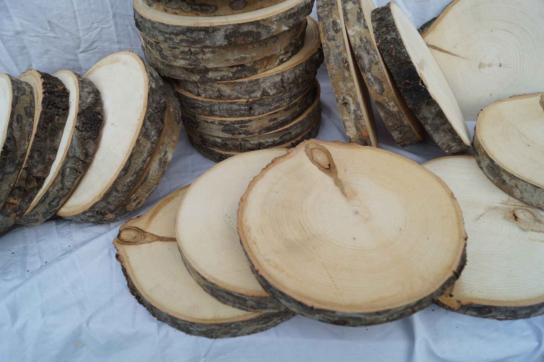 Poplar Log Wood Slices for crafts 8 inch diameter
