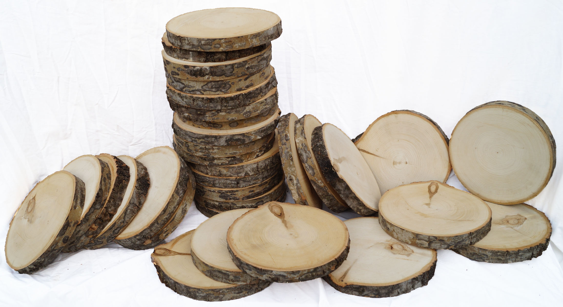 Natural Poplar Log Wood Slices 8 inch